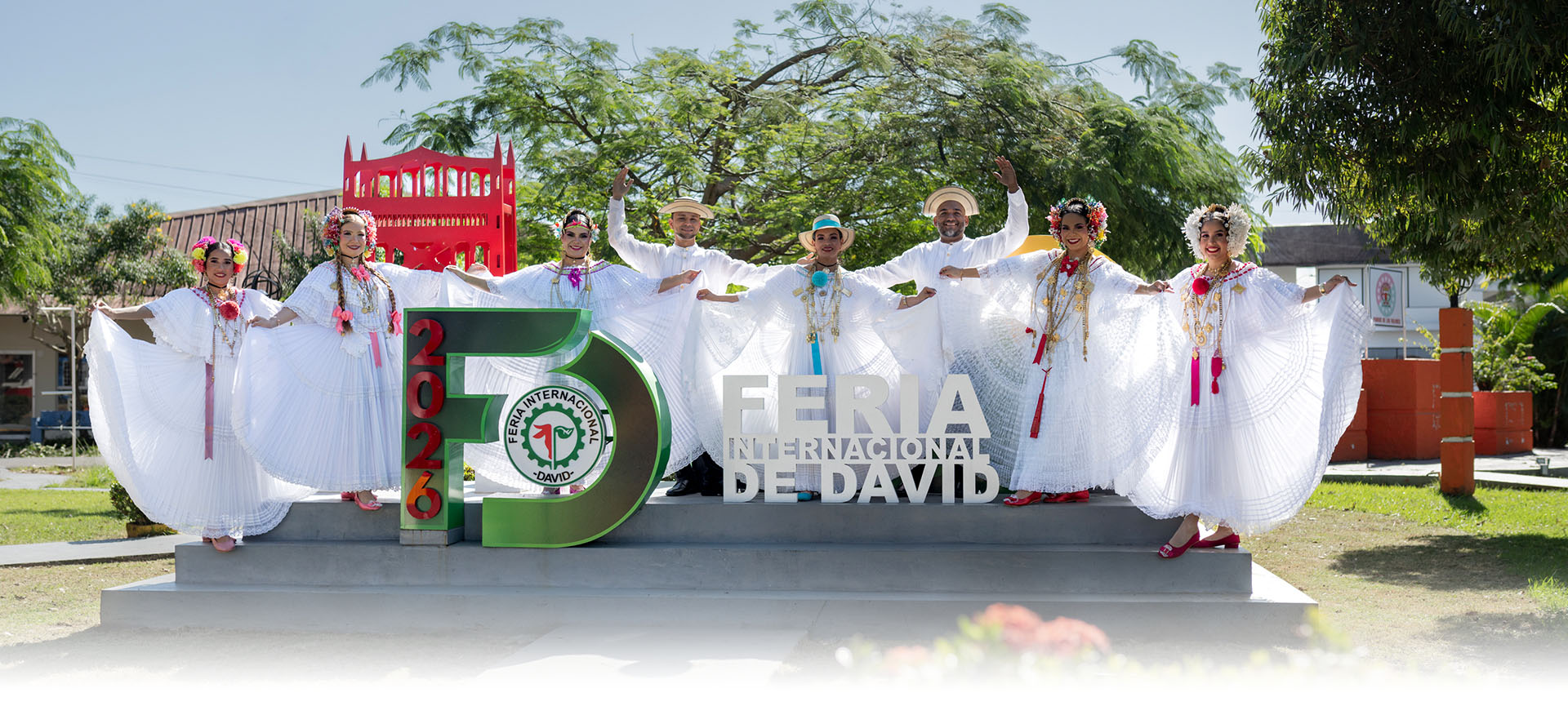 pollera grupal landing