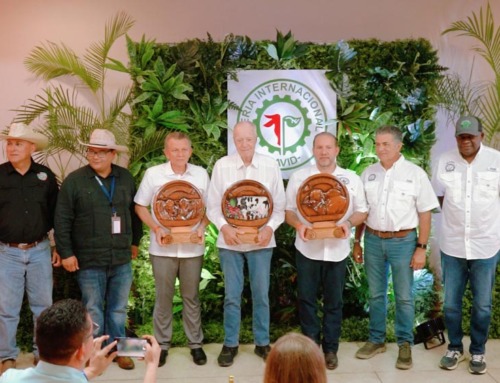 Historias que nacen en el campo
