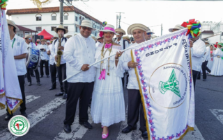 desfile de la pollera