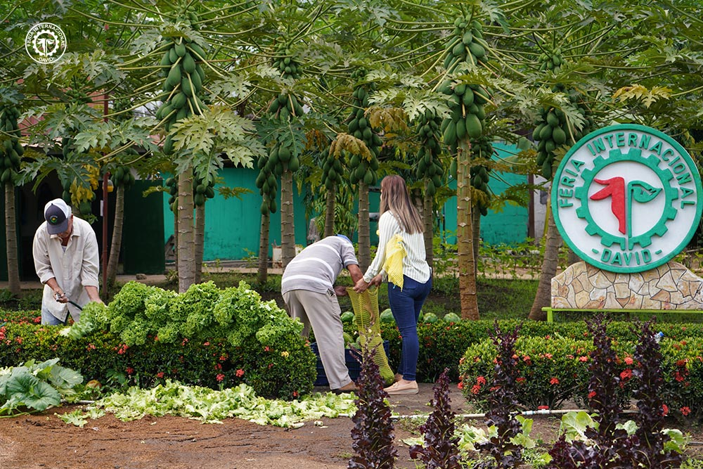 productos agrícolas