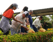 productos agrícolas