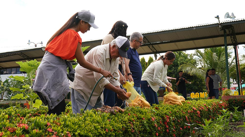 productos agrícolas
