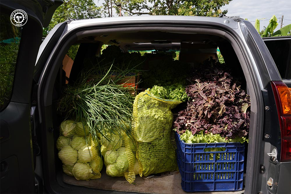 productos agrícolas