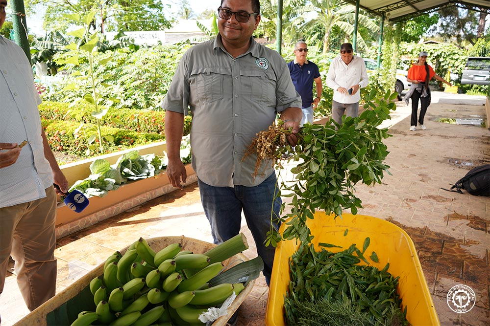 productos agrícolas