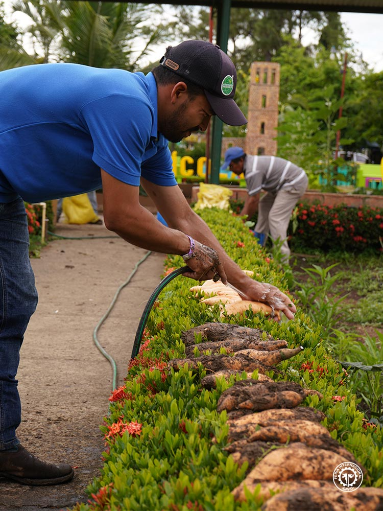 productos agrícolas