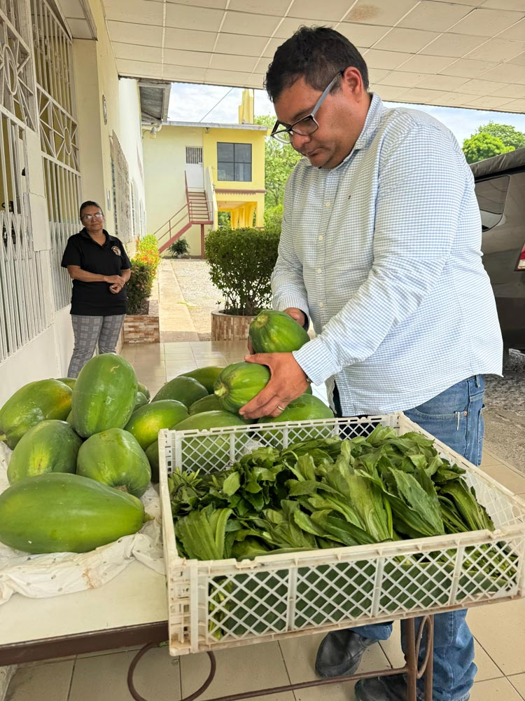 segunda cosecha agrícola