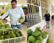 segunda cosecha agrícola