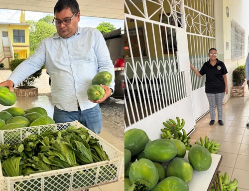 Feria Internacional de David realiza segunda cosecha agrícola y beneficia a hogar infantil
