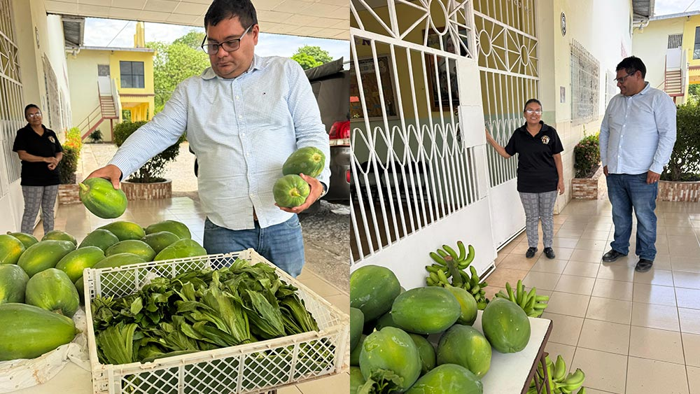 segunda cosecha agrícola